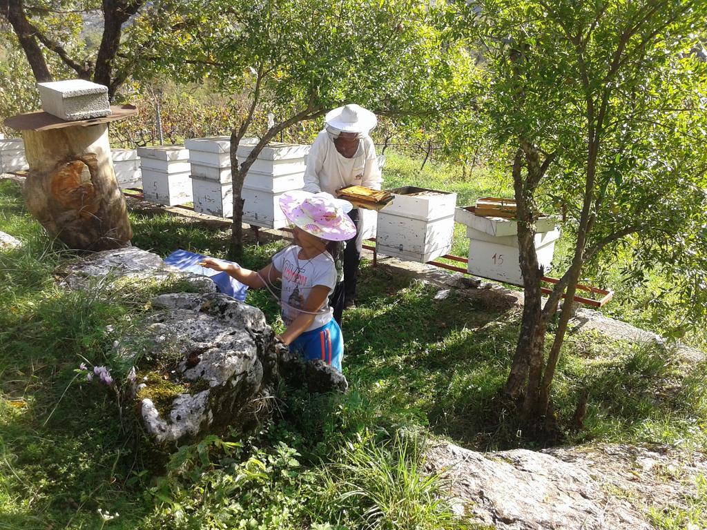 Village House - Novak Rijecani Rijeka Crnojevića Zewnętrze zdjęcie