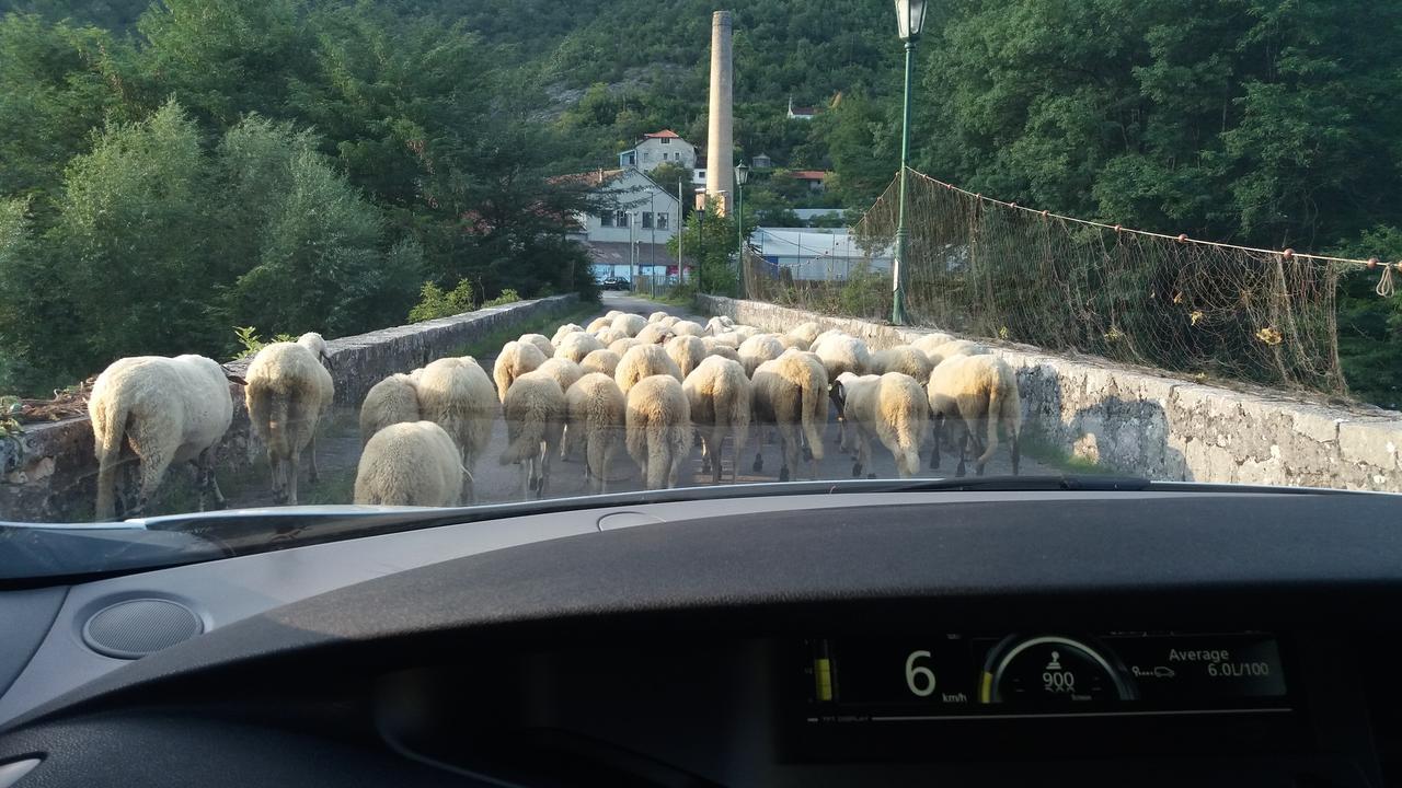 Village House - Novak Rijecani Rijeka Crnojevića Zewnętrze zdjęcie